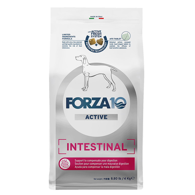 FORZA10 Intestinal Active インテスティナル アクティブ 中粒 4kg