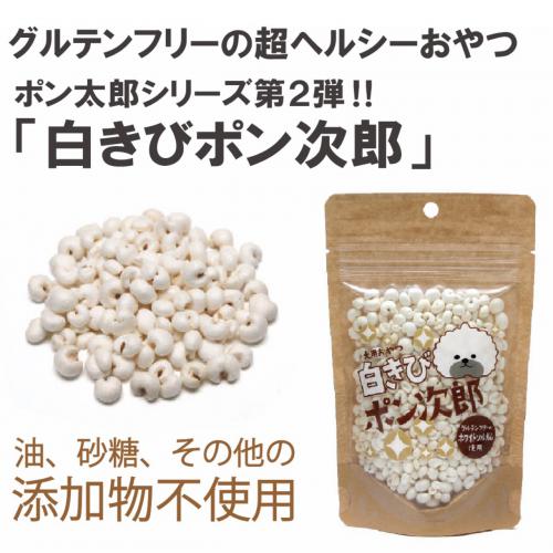 白きびポン次郎