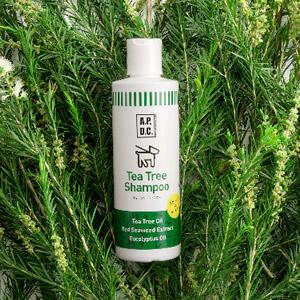 APDC ティーツリーシャンプー                           500ml